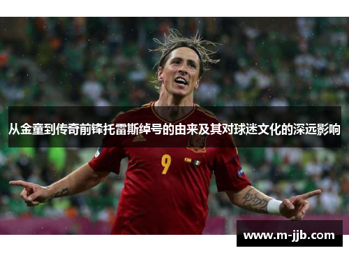 从金童到传奇前锋托雷斯绰号的由来及其对球迷文化的深远影响